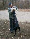     
: getImage (56).jpg
: 5
:	28.6 
ID:	5212101
