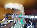     
: 20121118_225449.jpg
: 4
:	121.1 
ID:	5213690