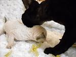     
: DSCN0618.jpg
: 20
:	78.1 
ID:	5217245