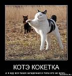     
: 45990206.jpg
: 7
:	64.9 
ID:	5222168