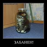     
: 5e1ec5acefa8.jpg
: 6
:	36.4 
ID:	5222176