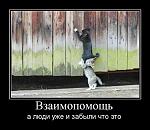     
: 0_499be_8acae569_XL.jpg
: 5
:	79.6 
ID:	5222182