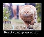     
: 0_5126e_94d4385_XL.jpg
: 4
:	52.1 
ID:	5222184