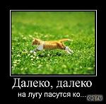     
: 0_75969_999df0e8_L.jpg
: 5
:	29.4 
ID:	5222190
