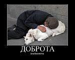     
: 0_849b8_7f931e34_XL.jpg
: 5
:	45.3 
ID:	5222202
