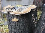     
: DSC05068.JPG
: 22
:	162.9 
ID:	5227228