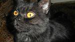     
: SAM_0431.jpg
: 31
:	128.6 
ID:	5228351