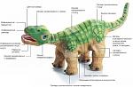     
: pleo4_enl.jpg
: 10
:	40.9 
ID:	5228838