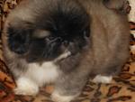     
: DSCN1347.jpg
: 2
:	69.9 
ID:	5230102