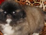     
: DSCN1350.jpg
: 2
:	68.9 
ID:	5230103