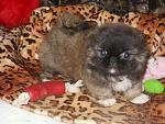     
: DSCN1393.jpg
: 2
:	169.8 
ID:	5230166