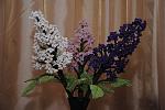     
: DSC_4731.jpg
: 12
:	115.9 
ID:	5230448