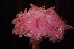     
: DSC_4737.jpg
: 10
:	106.1 
ID:	5230505