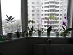     
: PB220144.jpg
: 8
:	126.5 
ID:	5234939