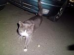     
: CIMG1245.jpg
: 18
:	146.8 
ID:	5238784