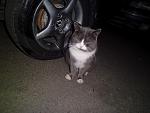     
: CIMG1253.jpg
: 19
:	120.7 
ID:	5238800