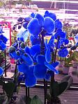     
: IMG_0023.jpg
: 8
:	117.7 
ID:	5239146