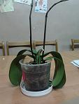     
: 2012-11-22 16.57.22.jpg
: 8
:	65.5 
ID:	5239395