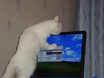     
: DSC00859.jpg
: 36
:	100.8 
ID:	524050