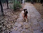     
: IMG0177A.jpg
: 6
:	110.3 
ID:	5241124