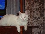     
: DSC00861.jpg
: 20
:	101.8 
ID:	524324