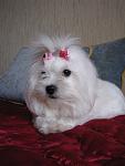     
: IMG_6061.jpg
: 14
:	67.6 
ID:	5246867