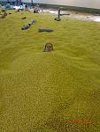     
: DSC04174.jpg
: 32
:	171.8 
ID:	5247811
