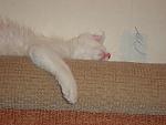     
: DSC00782.jpg
: 30
:	138.8 
ID:	524904