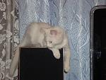     
: DSC00807.jpg
: 25
:	137.8 
ID:	524905
