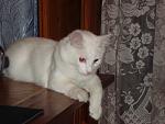     
: DSC00835.jpg
: 31
:	118.3 
ID:	524906