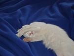     
: DSC00843.jpg
: 33
:	97.2 
ID:	524907