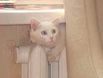     
: DSC00854.jpg
: 34
:	73.6 
ID:	524910