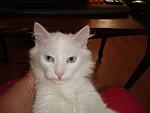     
: DSC00856.jpg
: 27
:	79.3 
ID:	524912