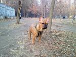     
: attachment.php.jpg
: 39
:	274.1 
ID:	5250501