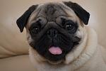     
: z_30da0159.jpg
: 7
:	155.8 
ID:	5254202