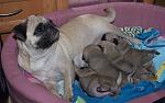     
: DSC_6074.jpg
: 7
:	121.2 
ID:	5256498