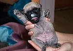     
: DSC_6095.jpg
: 6
:	120.3 
ID:	5256499