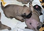     
: DSC_6107.jpg
: 4
:	115.7 
ID:	5256500
