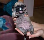     
: DSC_6096.jpg
: 5
:	106.1 
ID:	5256504