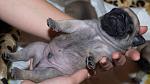     
: DSC_6111.jpg
: 5
:	106.2 
ID:	5256507