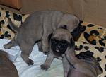     
: DSC_6068.jpg
: 5
:	139.6 
ID:	5256509