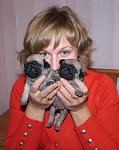     
: DSC_6154.jpg
: 5
:	193.7 
ID:	5256512