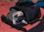     
: DSC_6126.jpg
: 6
:	291.7 
ID:	5256518
