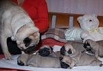     
: DSC_6148.jpg
: 5
:	129.0 
ID:	5256520