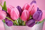     
: 143283-3504x2336.jpg
: 3
:	82.3 
ID:	5260862