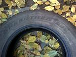     
: IMG00053.jpg
: 13
:	140.3 
ID:	5261810