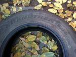    
: IMG00049.jpg
: 11
:	128.1 
ID:	5261813