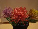     
: DSC09129.jpg
: 9
:	124.9 
ID:	5262151