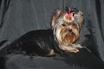     
: DSC_0506.JPG
: 9
:	201.6 
ID:	5264251