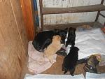     
: MC_4mjbtn9Q.jpg
: 27
:	56.8 
ID:	5267130